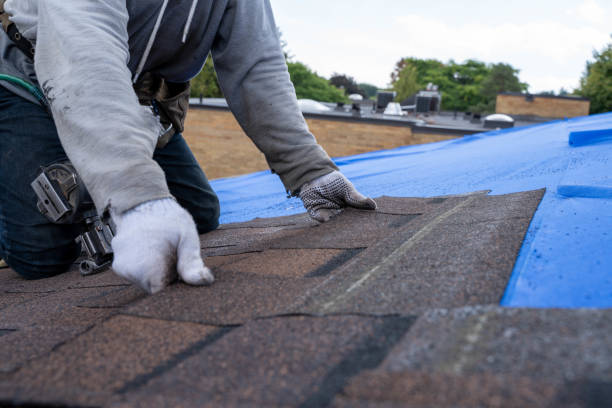 Best Roof Waterproofing Services  in Clearlake Oaks, CA